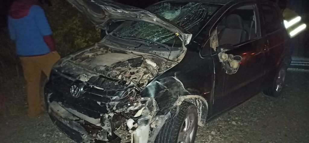 Un automóvil chocó contra un ciervo en ruta 40