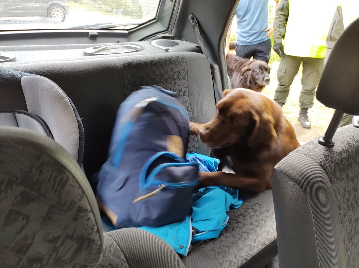 Azul, el can detector de narcóticos, encontró 50 pastillas de éxtasis en un auto 